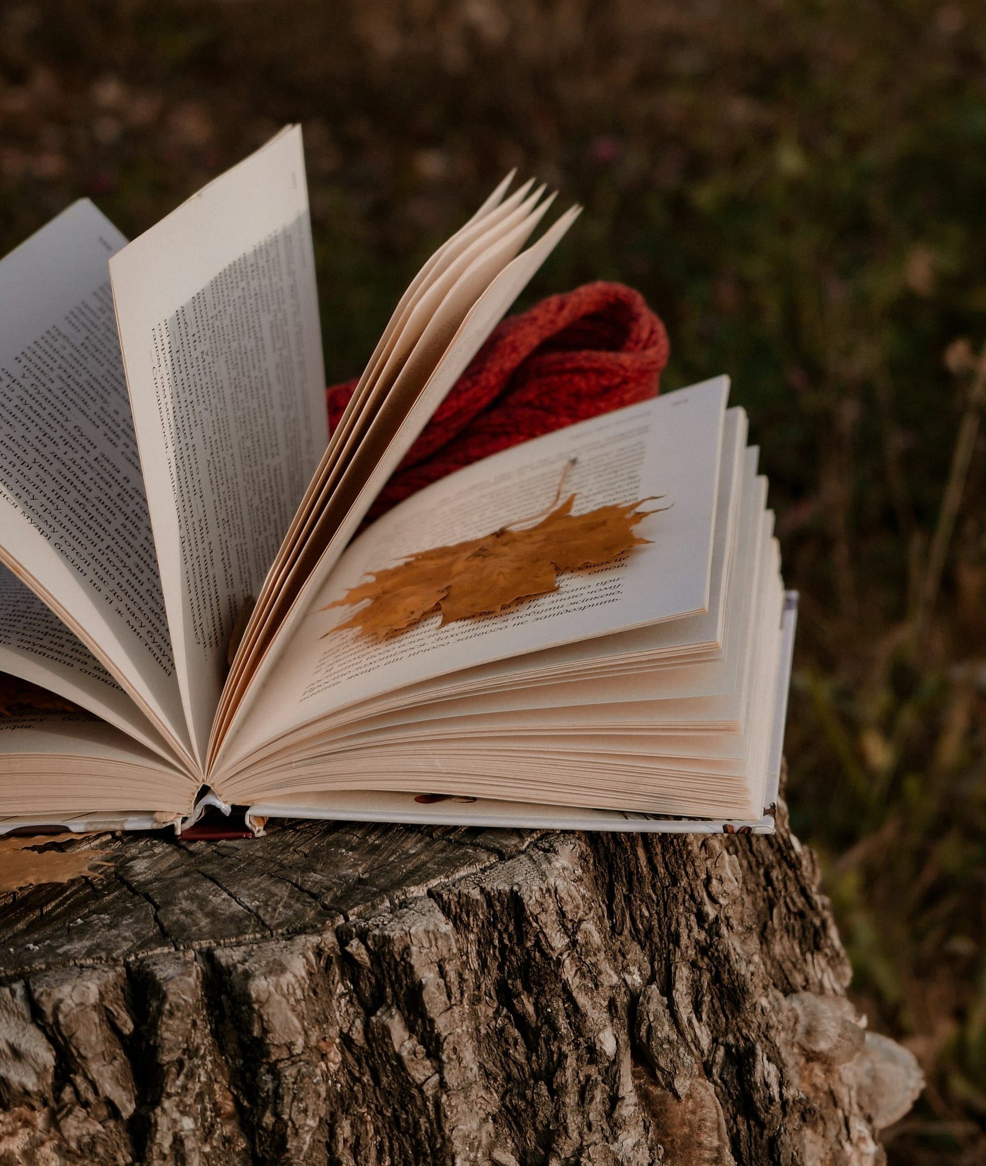 an open book sitting on top of a tree stump