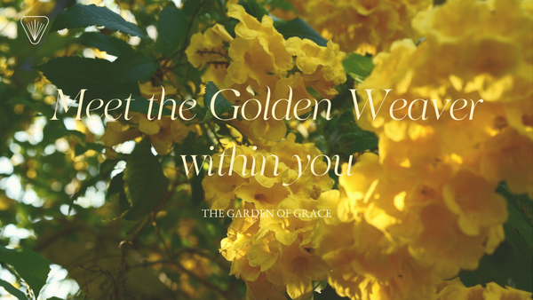 Cosmic Nature Series: Meeting the Golden Weaver within you